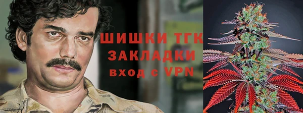 mdpv Володарск