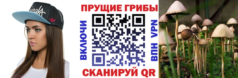Псилоцибиновые грибы прущие грибы  закладки  Инза 