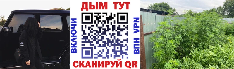 Каннабис гибрид  Инза 